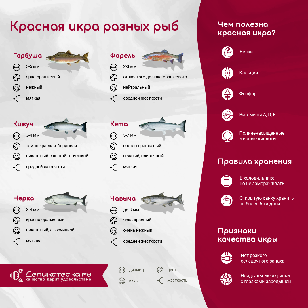 Как выбрать красную икру?