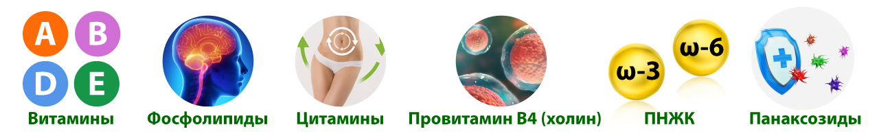 Состав медвежьего жира